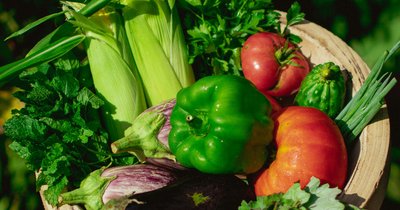 Nawożenie warzyw organicznie - naturalne metody żywienia roślin