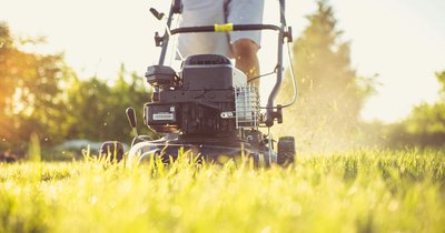 Trawnik po zimie - jak przywrócić mu zdrowy wygląd